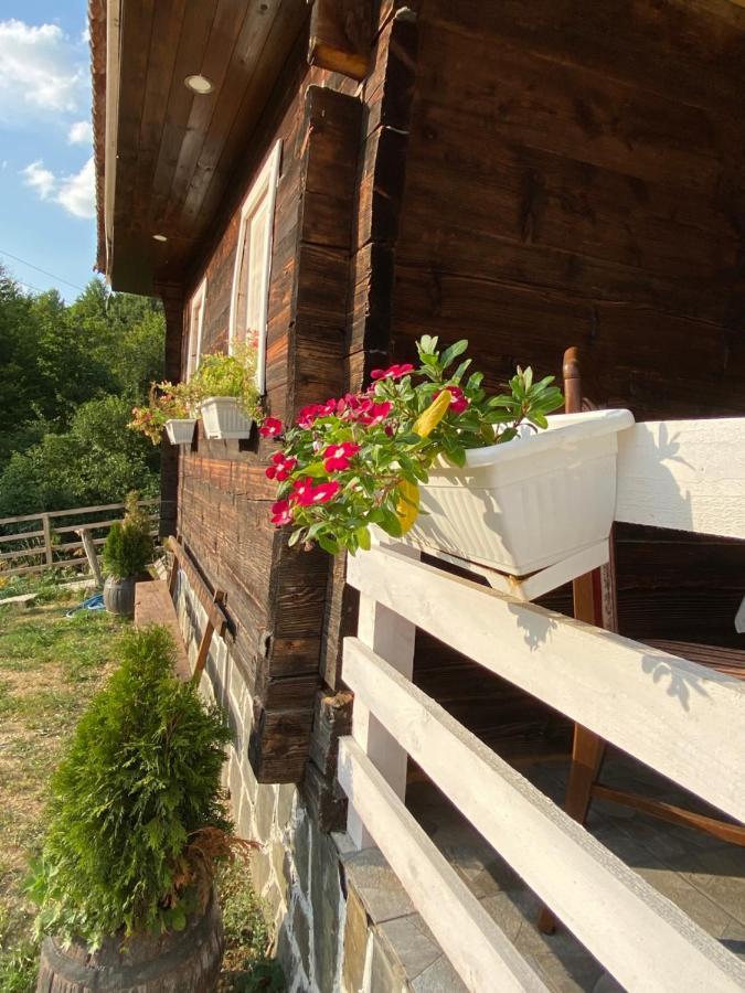 Villa Etno Selo Rakovic à Ivanjica Extérieur photo
