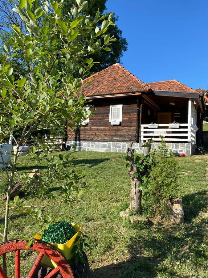 Villa Etno Selo Rakovic à Ivanjica Extérieur photo